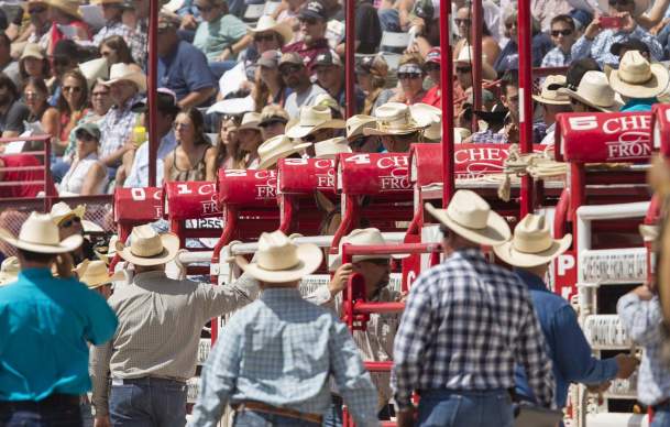 4 Things You Might Not Know About Rodeo