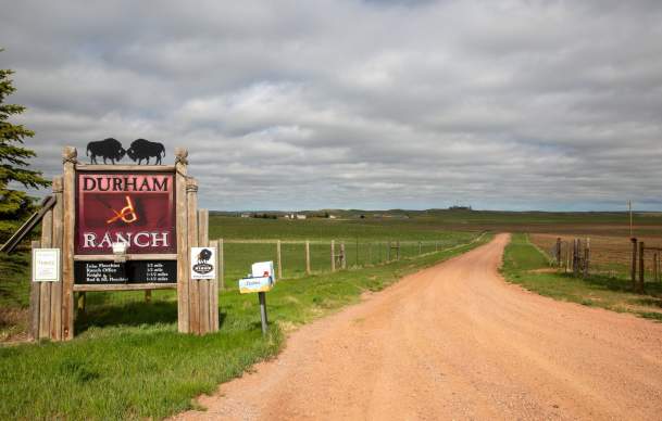 Family-Friendly Road Trip Ideas in the Black to Yellow Region