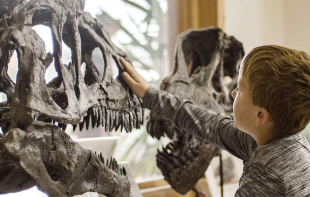 Discovering the Cowboy State: 10 Fun Facts About Wyoming for Kids