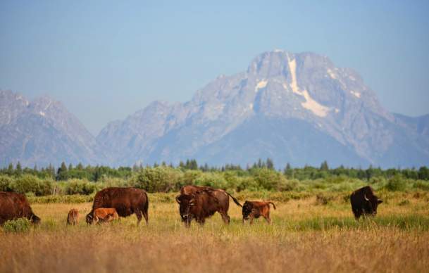 Three Spring Itineraries You Don’t Want to Skip in Wyoming