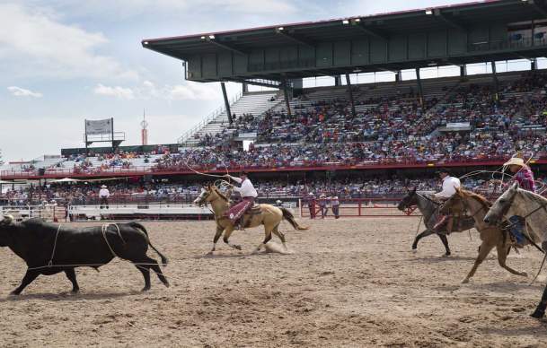 Saddle Up: The Official Guide to Rodeo Events in the Cowboy State