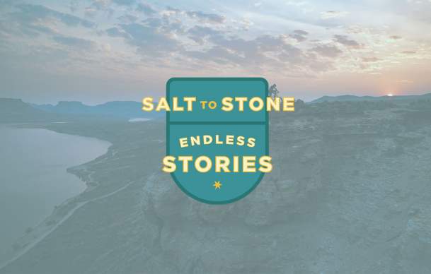Salt to Stone thumbnail