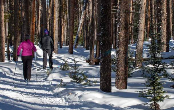 Top Cross-Country Ski & Snowshoe Trails