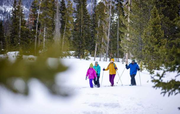 Come Out, Chill Out: Wyoming Winter & What to Know