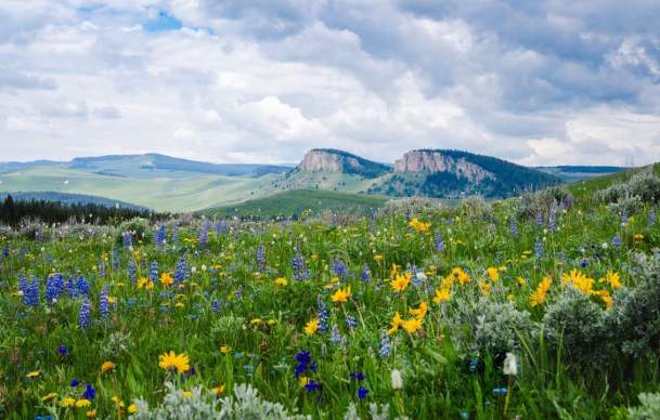 Celebrate Wyoming's 307 Day