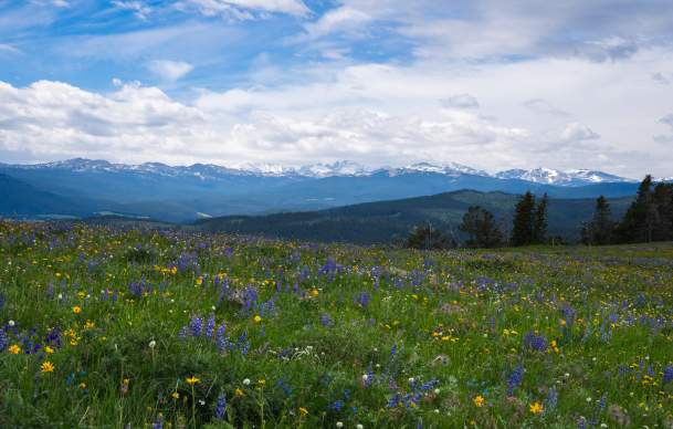 The Ultimate Joe Pickett Road Trip Through Wyoming