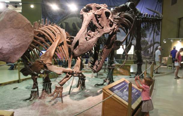 Discover History, Wildlife & Fun: Family-Friendly Museums in Wyoming