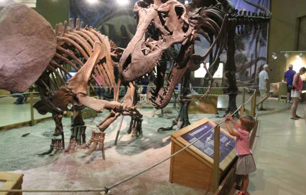 Why Thermopolis Needs to be on Your Wyoming Bucket List