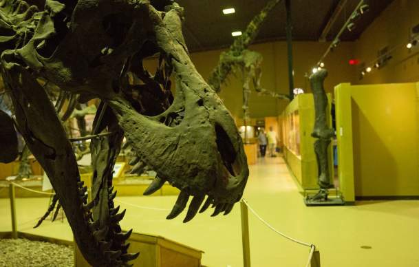 How to Make your Park to Park Road Trip Family Friendly