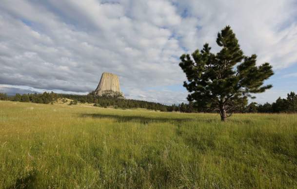 Top 12 Things to Do in Devils Tower National Monument