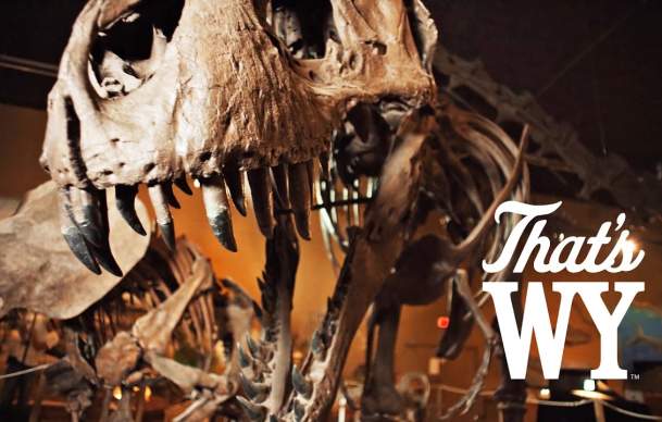 Paleontology in Wyoming - That's WY