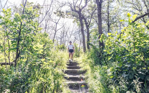 White Horse Hill Walking Trail