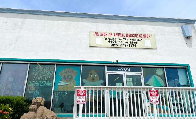 【PSA9】ビジュアルアドベンチャー No.108 覇国（リトルガーデン） Friends of Animal Rescue | South Padre Island Pet Shelter