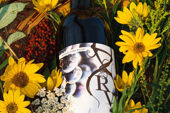 Cedric D'vine Simply D'vine indie R&B 洋楽 Cedric D'vine Simply D