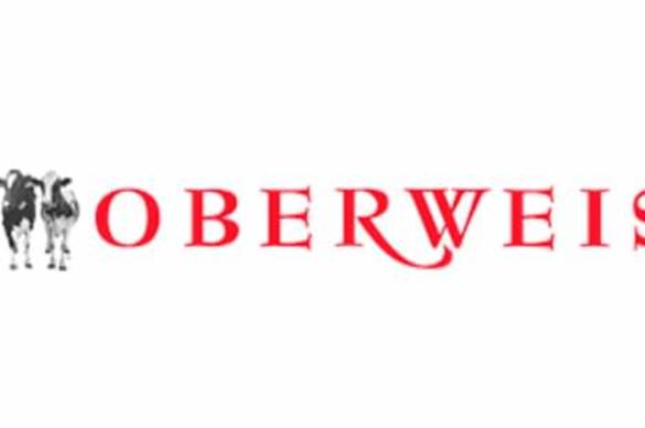 Oberweis Ice Cream and Dairy Store