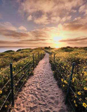 Dana Point Headlands Trail Sunset