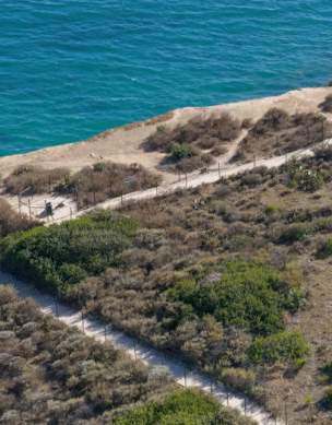 Coastal Hikes and Nature