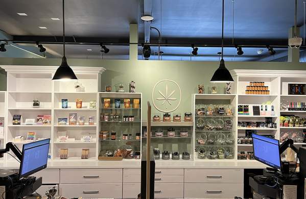 Apothecary Certified Organic interior