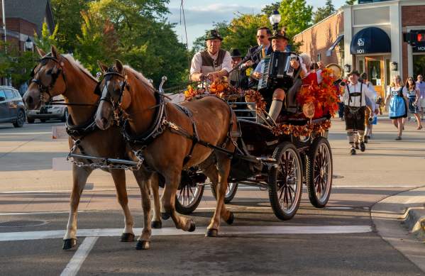 Horse-drawn carriage carrying accordion player
