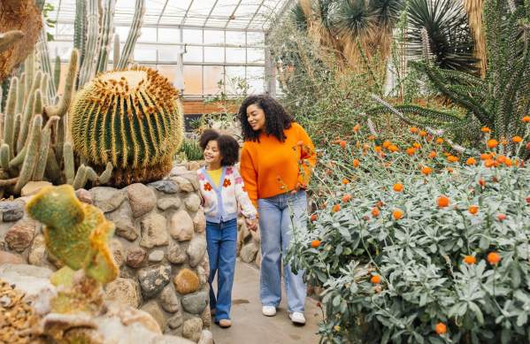 Spend a Weekend in Dixboro, Michigan