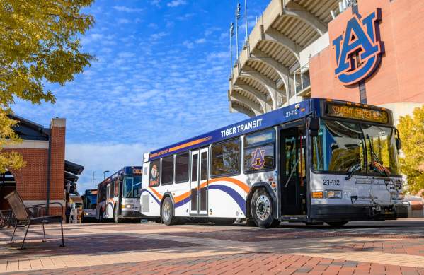 tiger transit busses in front of stadium