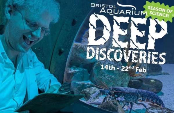 Deep Discoveries! at Bristol Aquarium