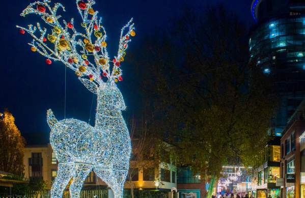 A giant light up reindeer in Quakers Friars - Credit Cabot Circus
