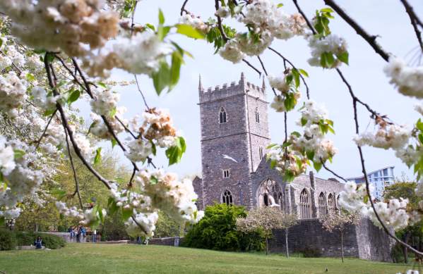 Spring blossom at Castle Park in central Bristol - credit Paul Box