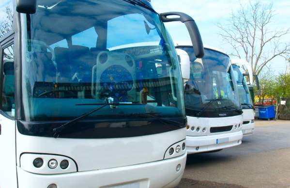 Two white coaches parked next to each other in a car park