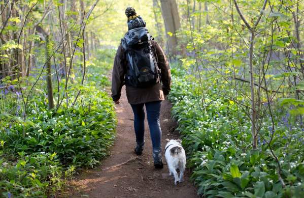 Top 10 dog walks in Bristol