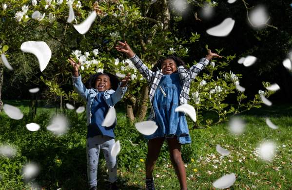 Children playing in flower blossom at Westonbirt Arboretum near Bristol among spring blossom - credit Johnny Hathaway