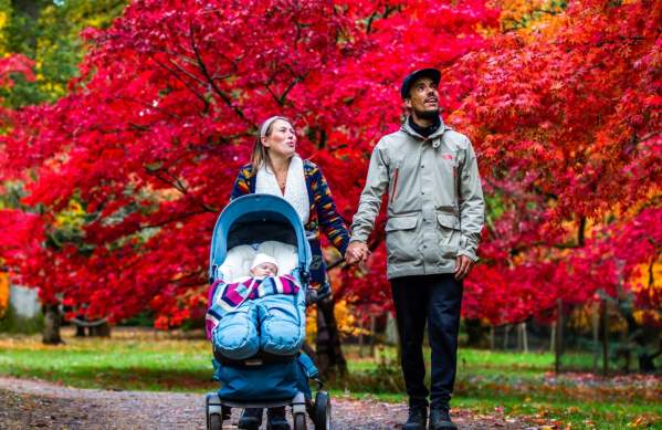Bristol’s best parks for autumn leaf peeping