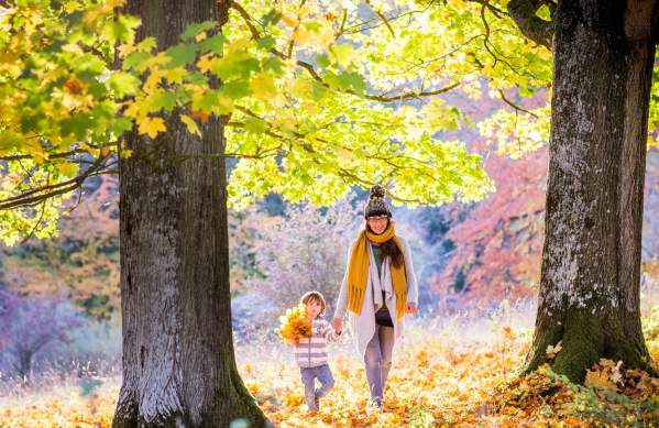 A mother and her young daughter in the grounds of Westonbirt Arboretum near Bristol in autumn - credit Johnny Hathaway