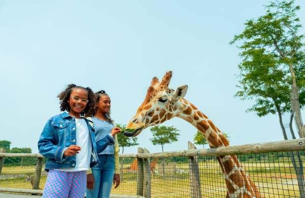 Two young girls feeding a giraffe at Columbus Zoo, one smiling brightly at the camera while the other offers leaves to the giraffe. A wooden fence and trees are visible in the background.