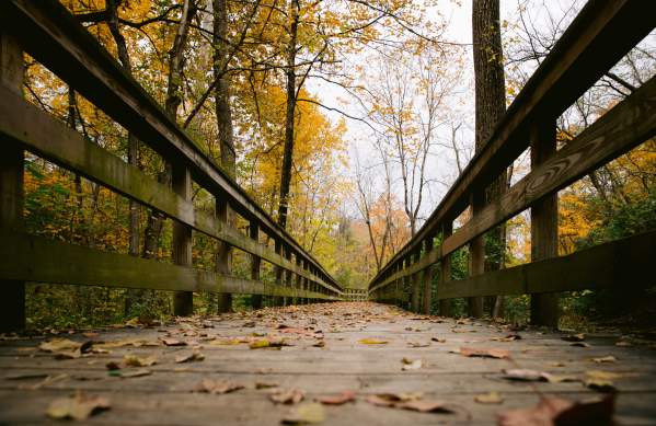 Hayden Run Falls boardwalk covered in leaves during the fall