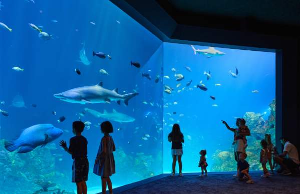 kc aquarium