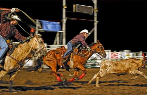 Rodeo
