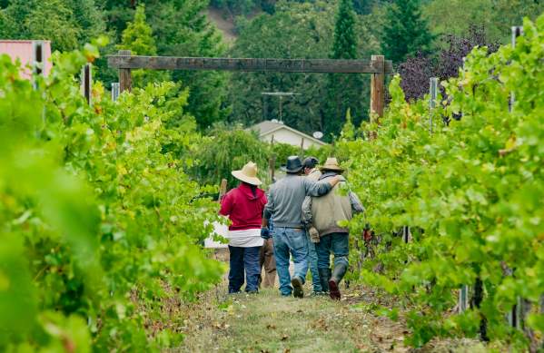 Harvesters