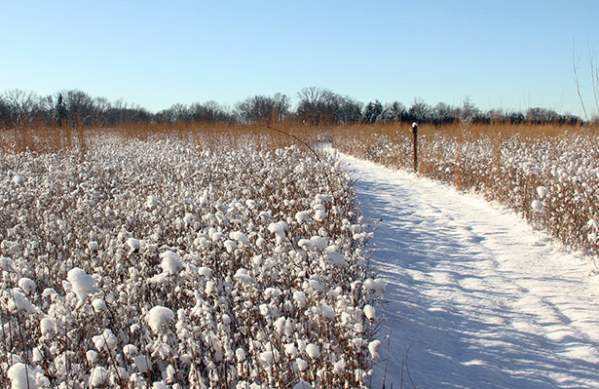 Sledding, Skiing and Ice Skating … Eight of my favorite South Shore spots