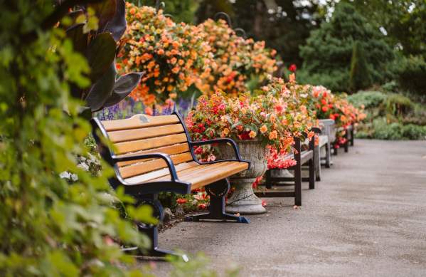 Botanical Gardens at Singleton