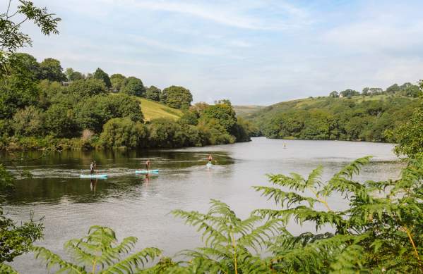 People paddleboarding on Lliw Reservoir