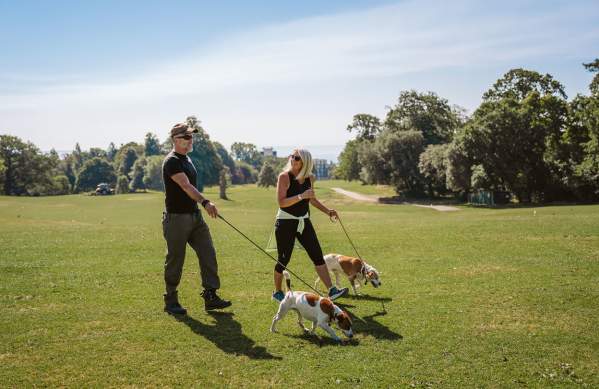 A man and a woman walking dogs in Singleton Park
