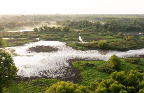 Discover Wabashiki Wetlands: Nature, Adventure, and History Along the Wabash River