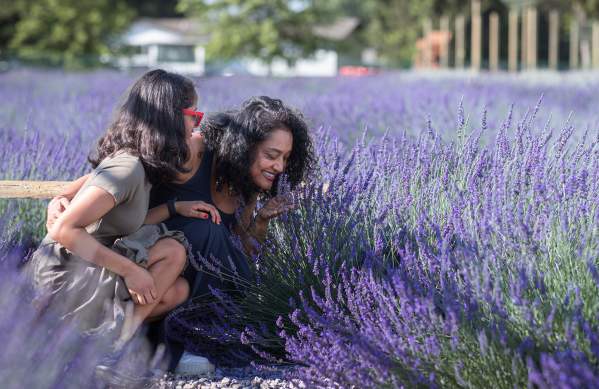 Milan Lavender Harvest Festival