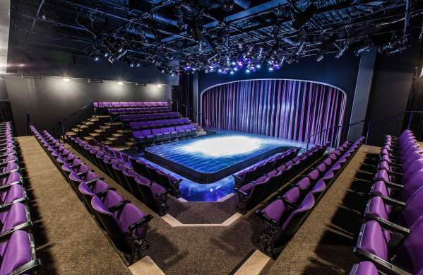 Purple Rose Theatre Company