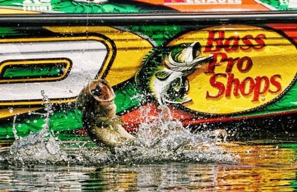 Bass Pro Shops