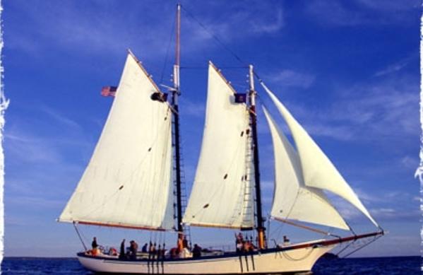 【新品】Schooner スクーナー　5.9 Pioneer (schooner) - Wikipedia