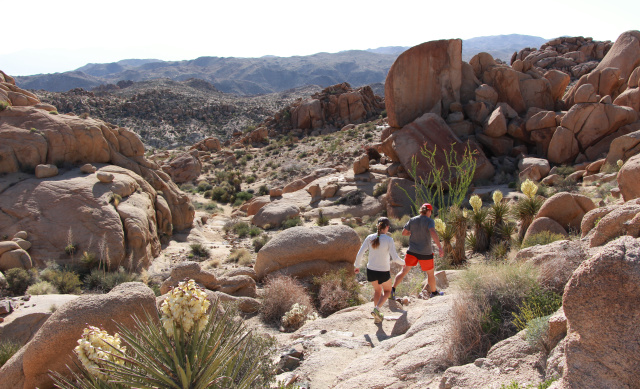 Joshua Tree National Park Hikers