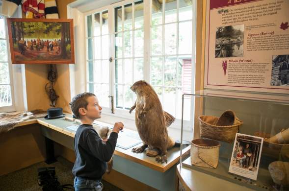 Little boy at Chik-Wauk Nature Center learning about animals