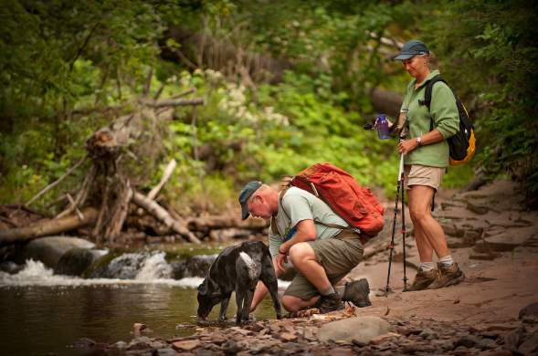 Trail Conditions Summer Cook County MN Outdoor couple on superior hiking trail with dog